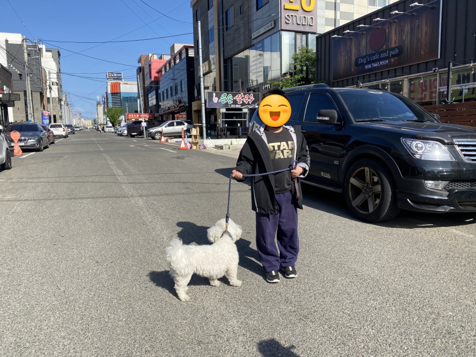 도심 인도에서 강아지와 서 있는 보호자